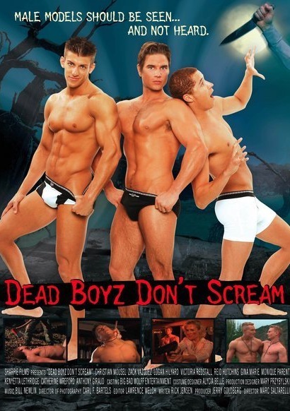 Скачать гей фильм Мертвые парни не кричат / Dead Boyz Don't Scream